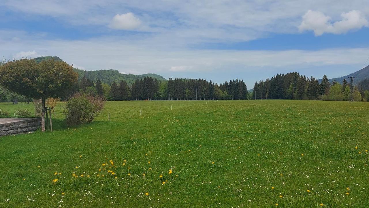 Ferienwohnung Seeberg Mit Almfeeling Faistenau Exteriör bild
