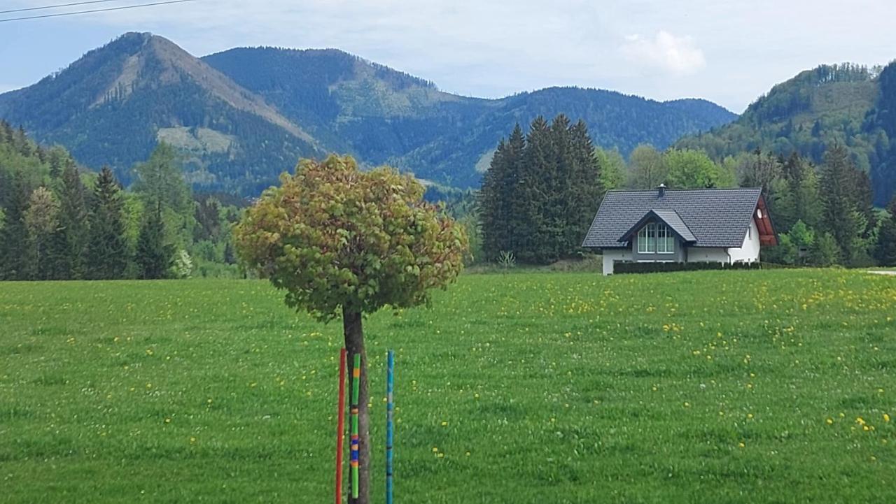 Ferienwohnung Seeberg Mit Almfeeling Faistenau Exteriör bild